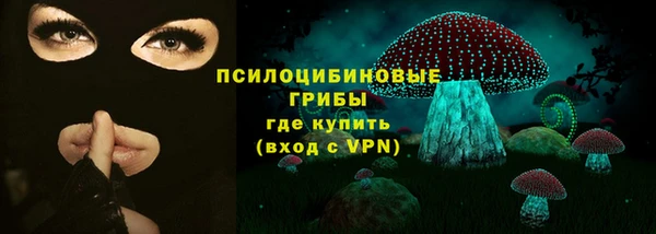 стафф Алексин