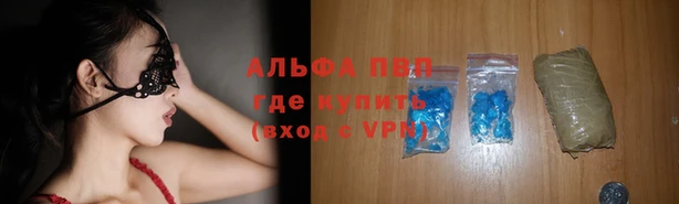 стафф Алексин