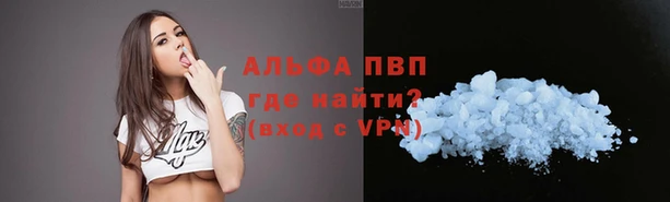 стафф Алексин