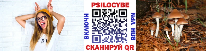 Галлюциногенные грибы Magic Shrooms  купить наркотик  KRAKEN ONION  Нытва 